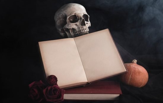 open book mock up with roses skull 23 2148273487